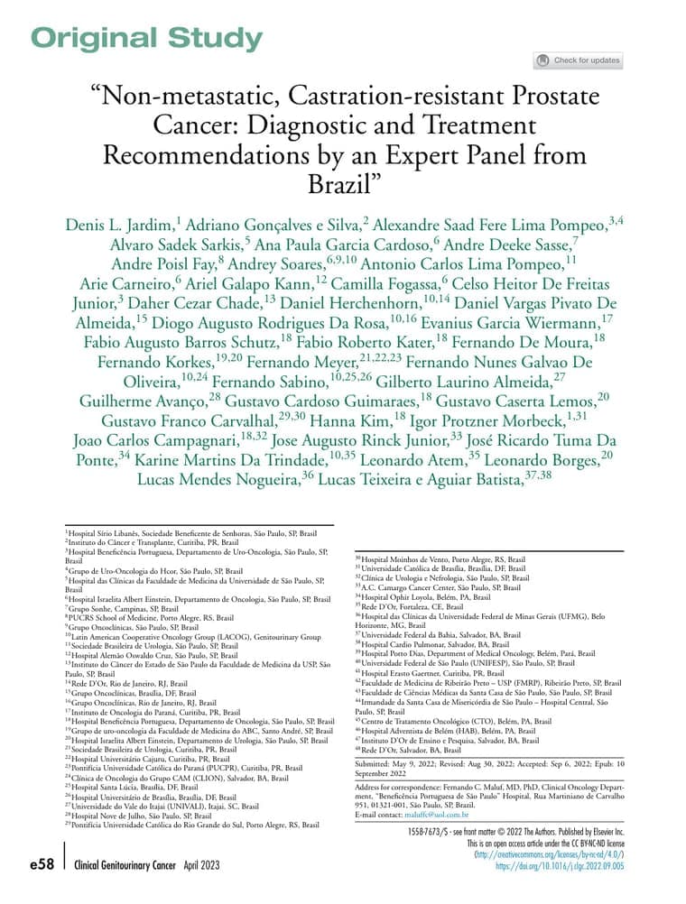 Primeira página do artigo: Non-metastatic, Castration-resistant Prostate Cancer: Diagnostic and Treatment Recommendations by an Expert Panel from Brazil